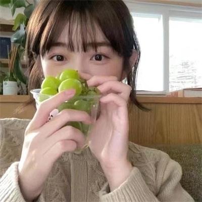 国土安全第二季